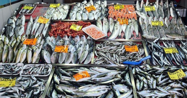 Balık sezonu ne zaman açılıyor? 2025 balık tutma yasağı bitti mi?