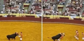 Boğa güreşçisi boynuz darbesiyle hayatını kaybetti, seyirci kalp krizi geçirdi