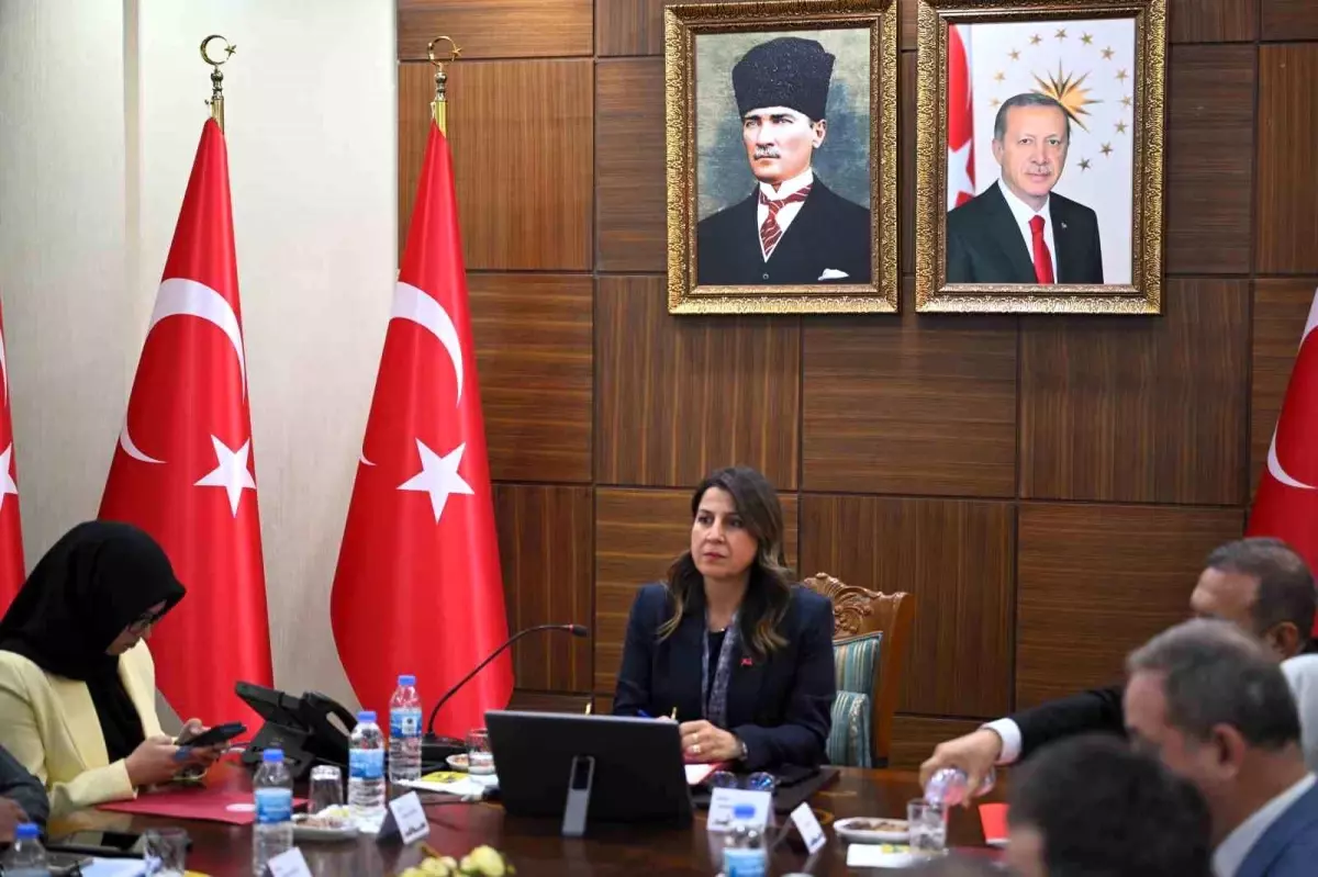 Diyarbakır&apos;da Kadın Hizmetleri Bölgesel İstişare Toplantısı Gerçekleştirildi