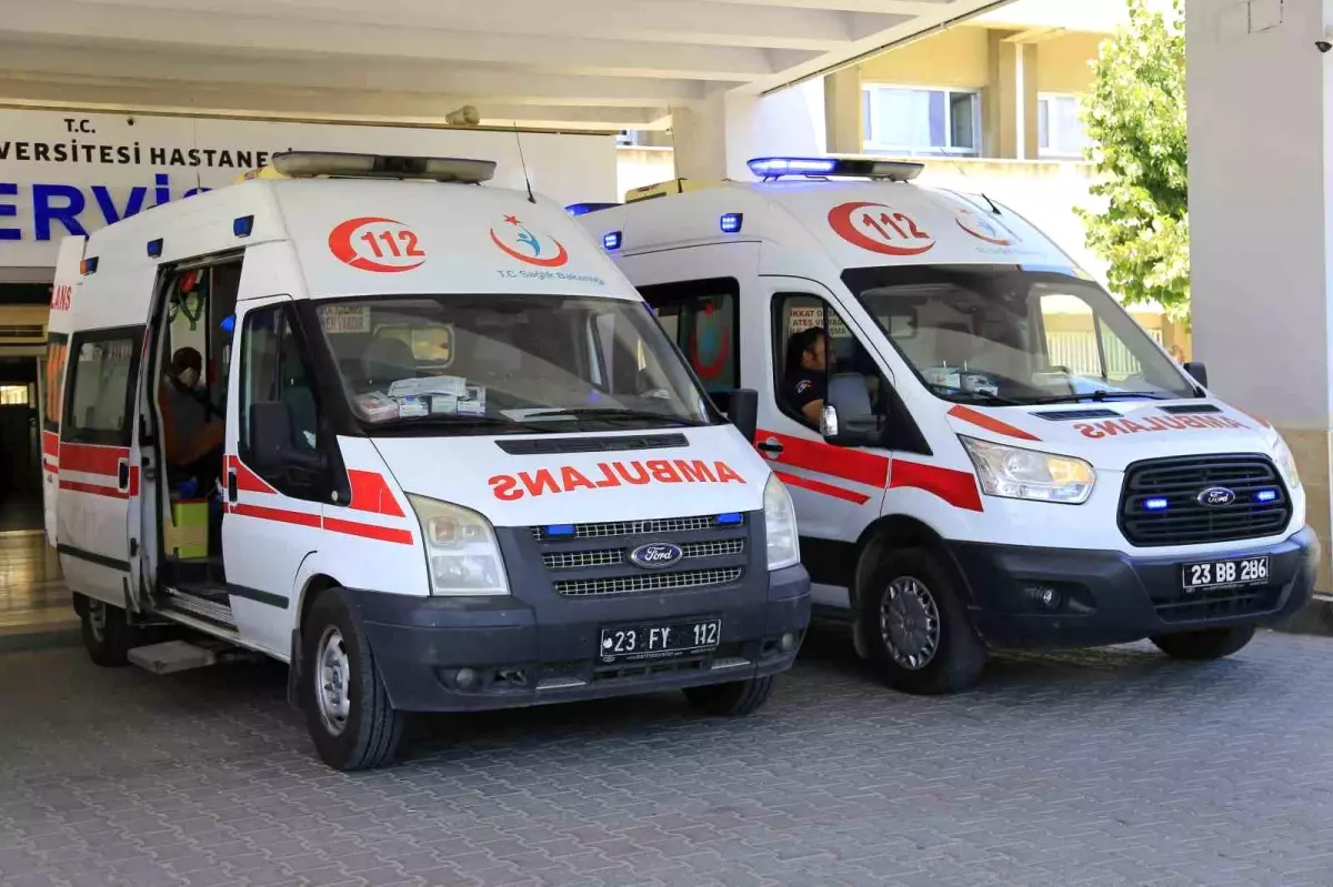Elazığ&apos;da Eşeğin Sürüklediği Çocuk Hayatını Kaybetti