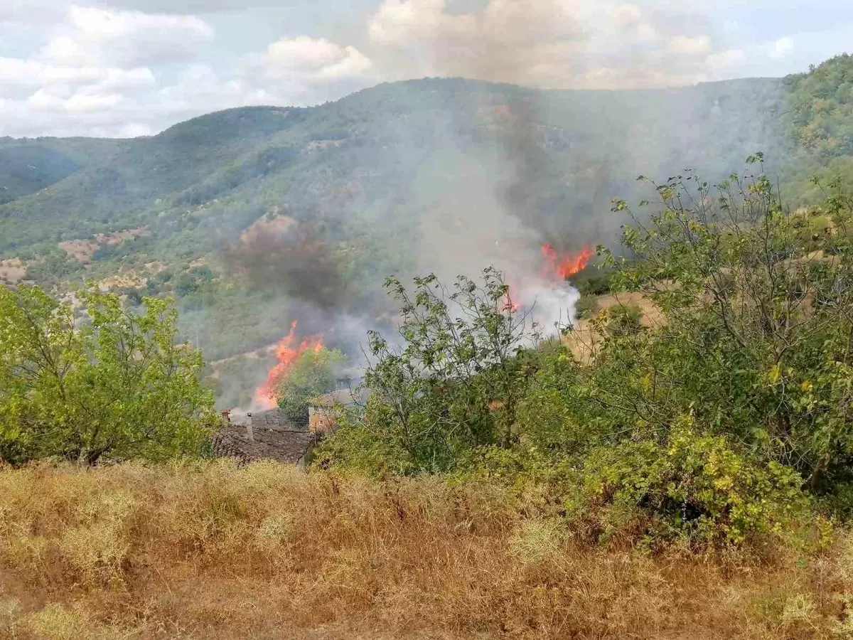 Balıkesir&apos;de Yangın: 5 Dönüm Zarar Gördü