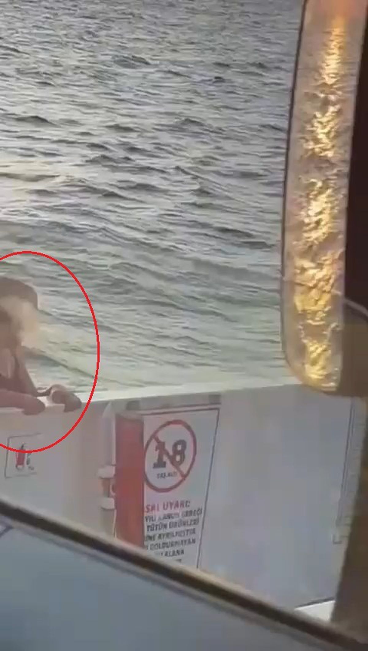 Eskihisar Feribotunda İntihar Girişimi