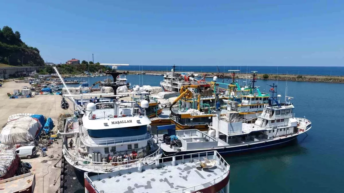 Karadeniz Balıkçılarından Yeni Sezon Umutları