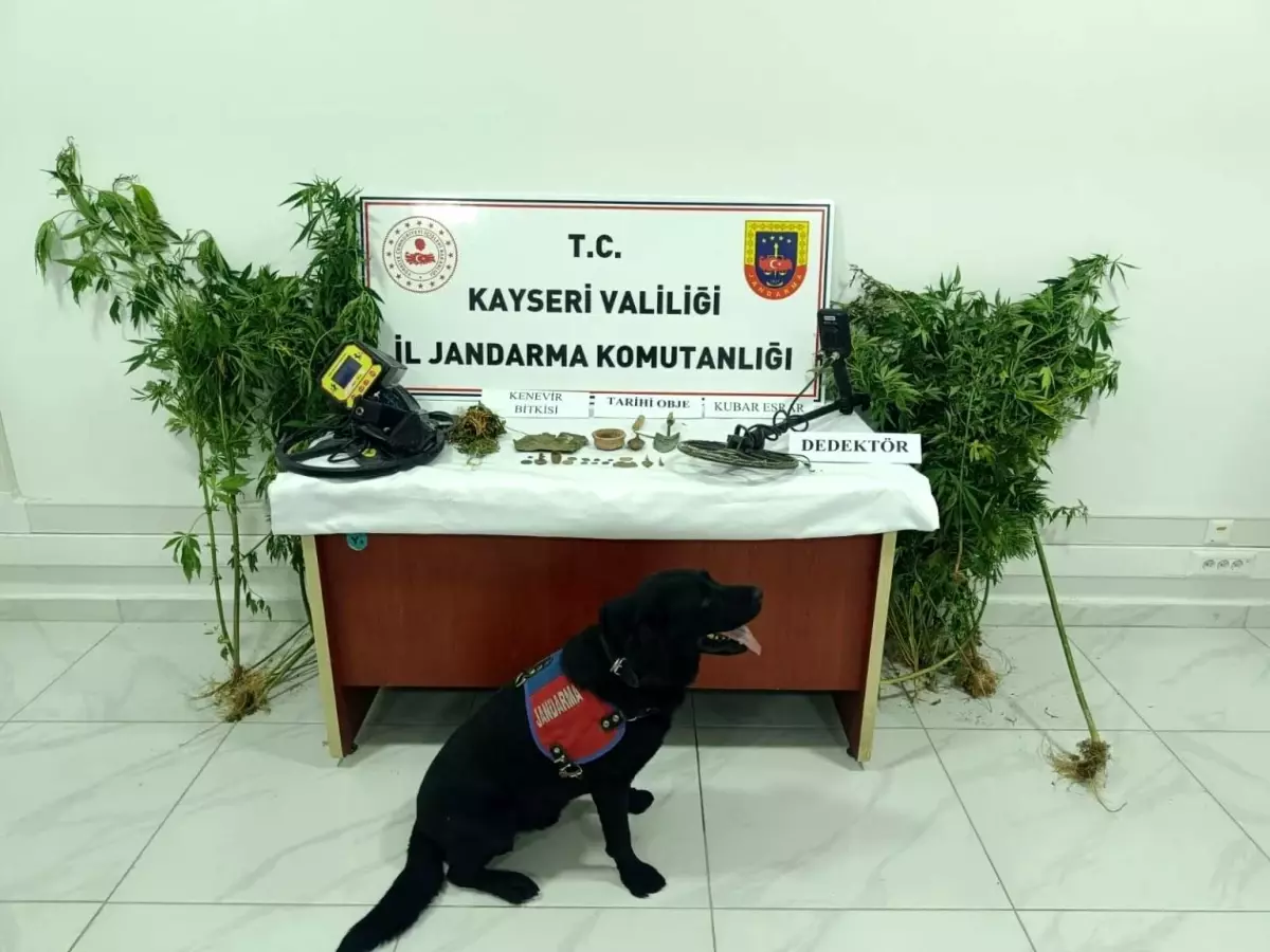 Kayseri'de Uyuşturucu Operasyonu: 38 Kök Kenevir ve 21 Tarihi Eser Ele Geçirildi
