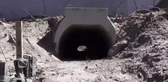 Kurbağaların rahat çiftleşmesi için özel alt geçit inşa ettiler