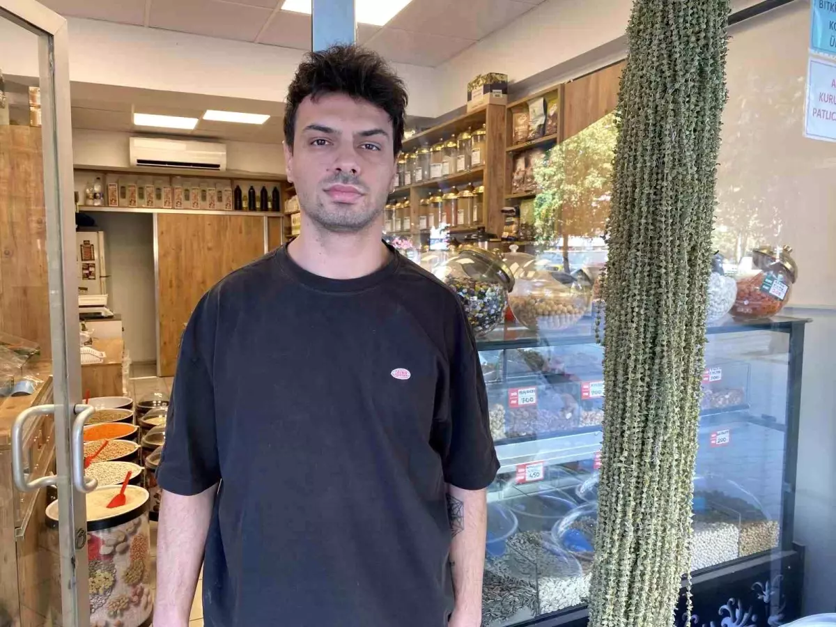 Çiçek Bamya Fiyatında Düşüş: Kilogramı 2900 TL Oldu
