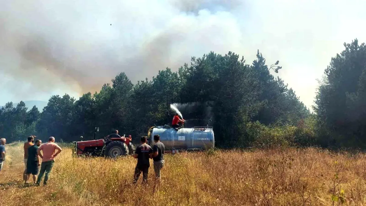 Akyazı&apos;da Orman Yangını: Ekipler Seferber Oldu