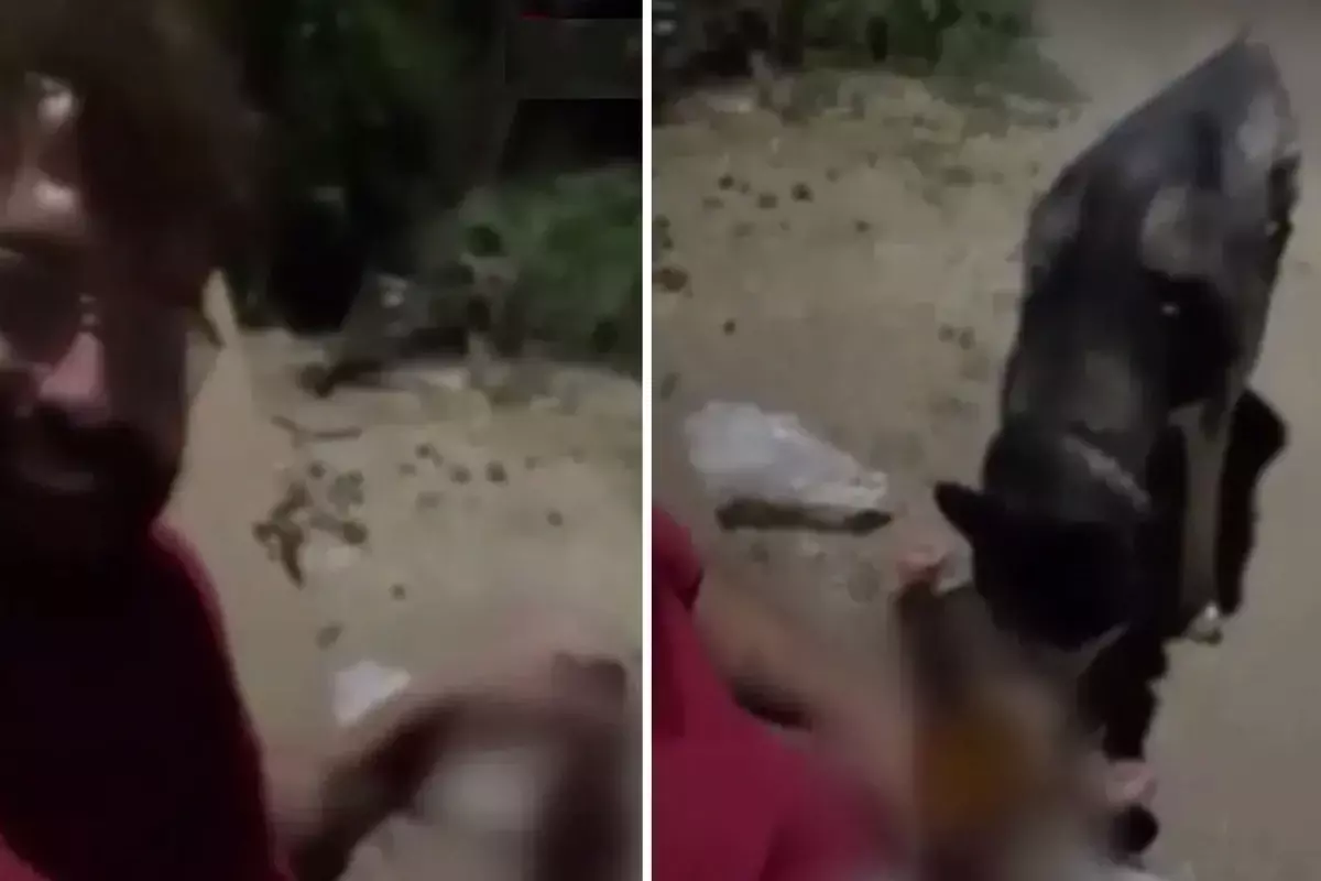 Köpeğine zorla alkol içirip kahkahalar attı