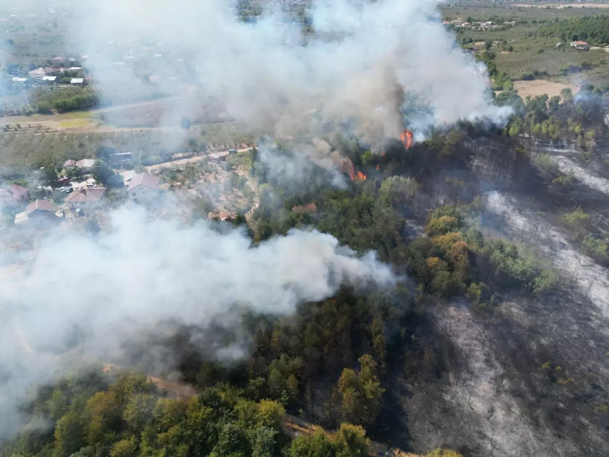 Sakarya'da Orman Yangını Kontrol Altına Alındı