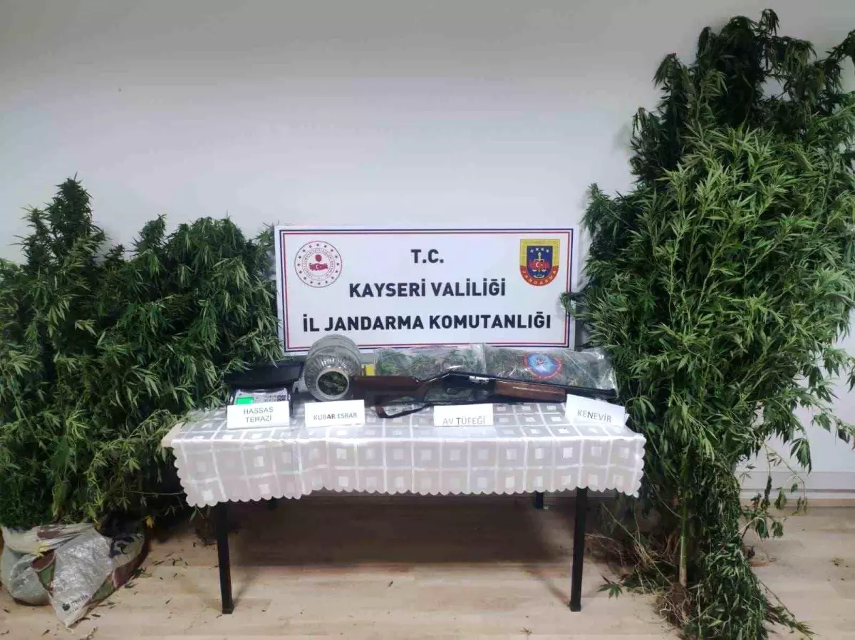 Kayseri&apos;de Jandarma Operasyonu: 3 Kilo Esrar Ele Geçirildi