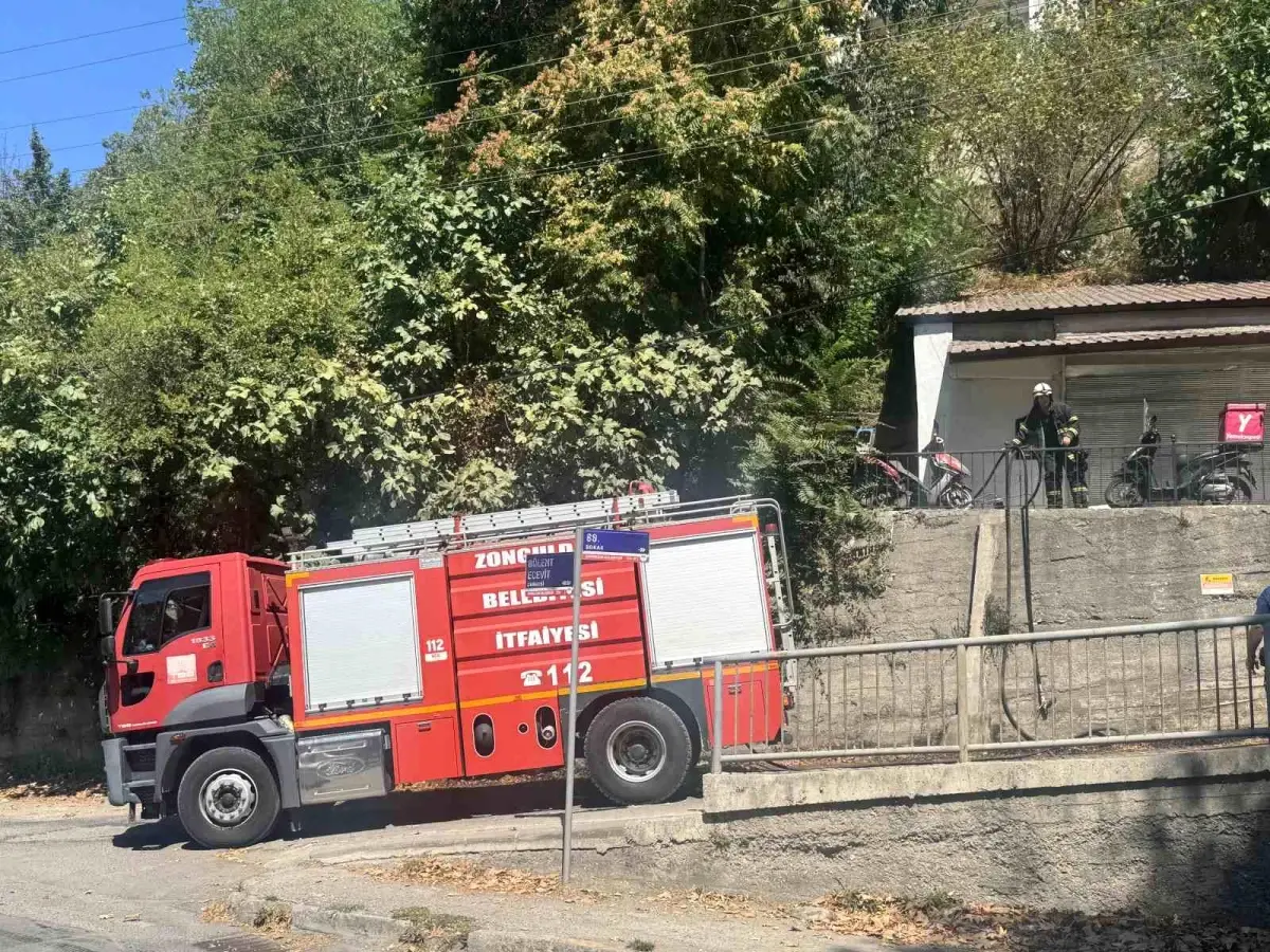 Zonguldak&apos;taki Orman Yangını Büyümeden Söndürüldü