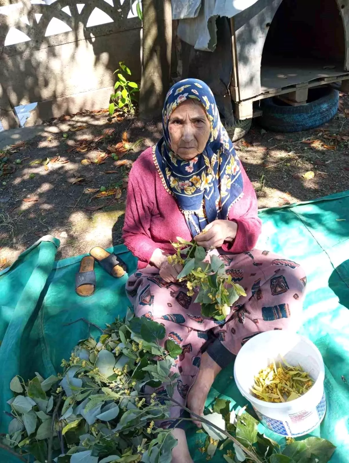Düzce'de 81 Yaşındaki Kadın İçin Arama Çalışmaları Başlatıldı