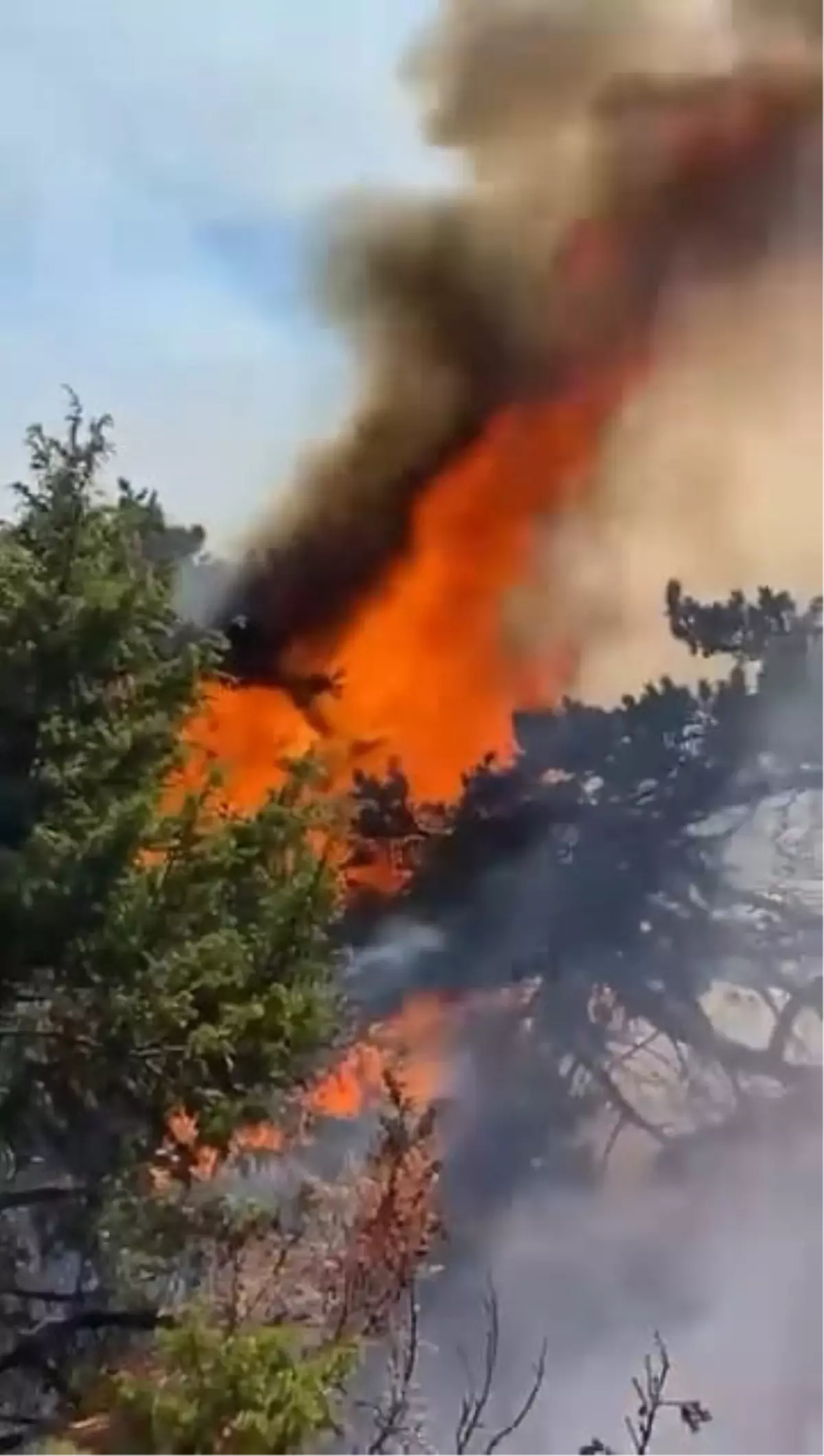 Amasya&apos;da Orman Yangını Başladı, Müdahale Devam Ediyor