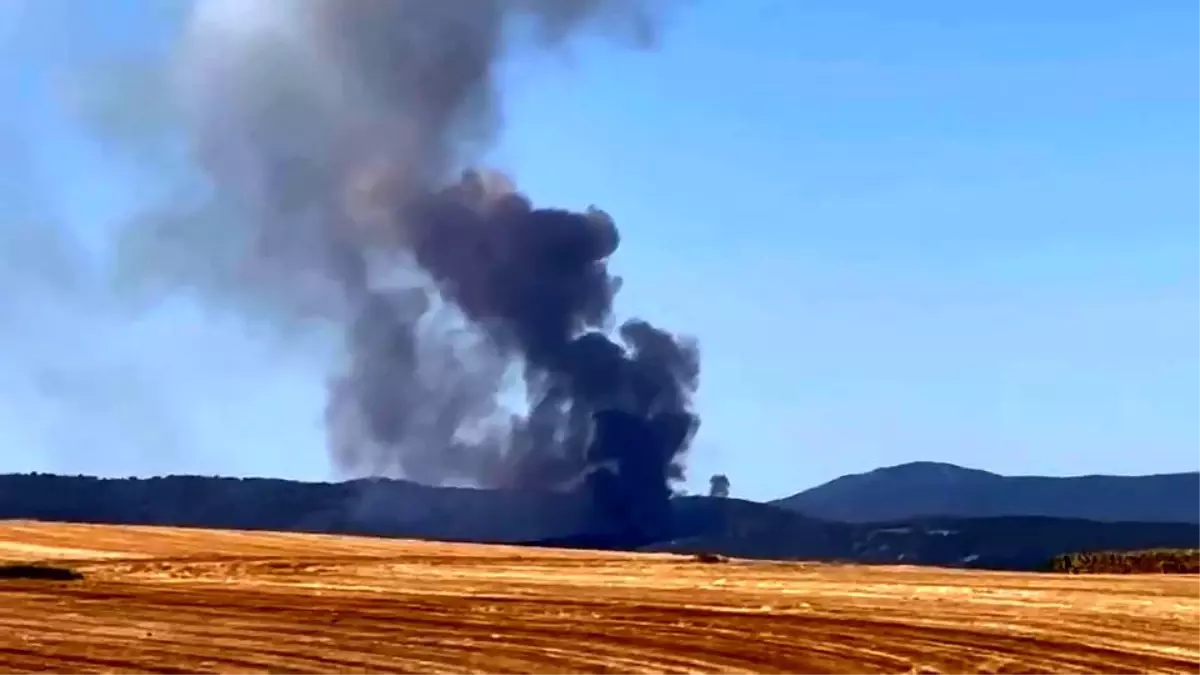Bursa'nın Yenişehir İlçesinde Orman Yangını Çıktı