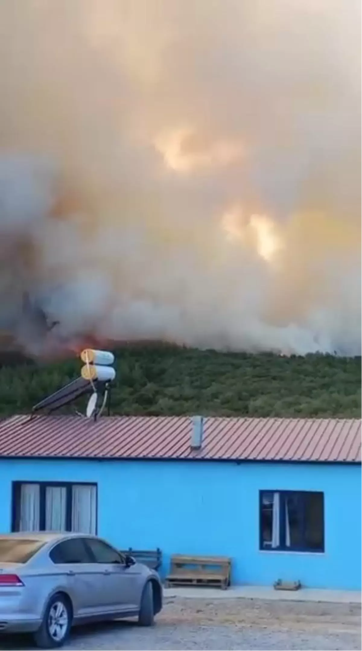 Bursa'da Orman Yangını: Mahalle Anonsuyla Uyarı Yapıldı