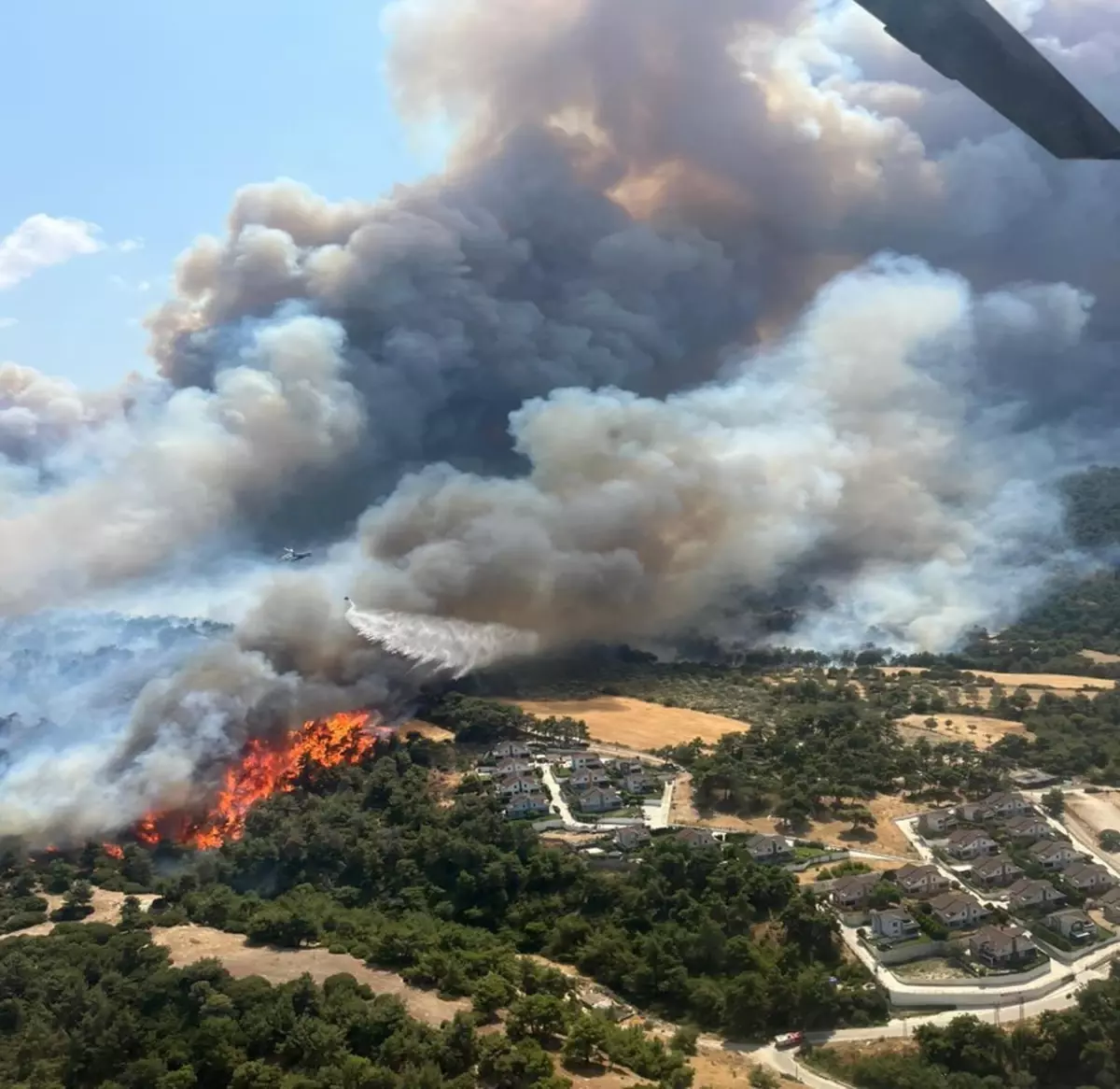Çanakkale&apos;deki Orman Yangınları Hakkında Değerlendirme