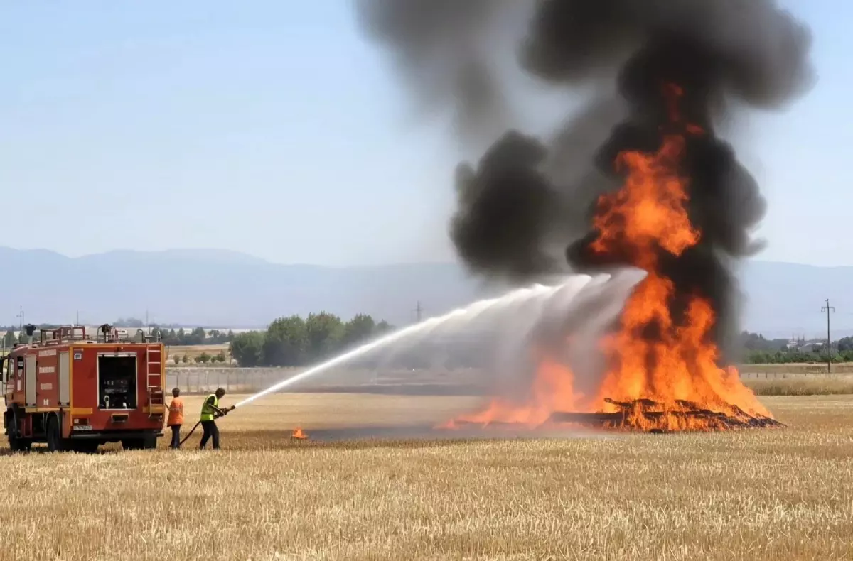 Elazığ'da Tarla Yangını Kontrol Altına Alındı