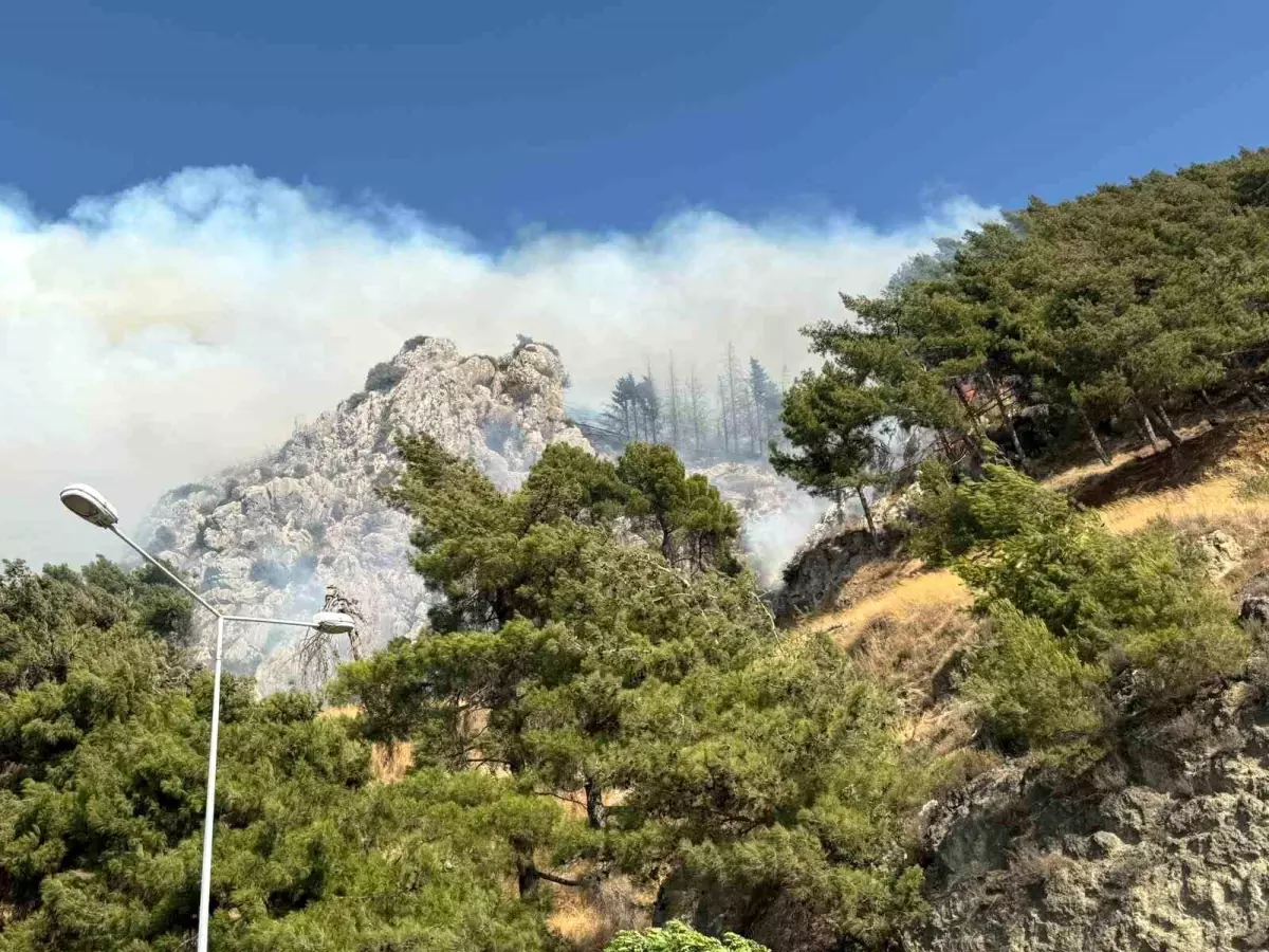 Hatay'da Orman Yangınına Müdahale Devam Ediyor
