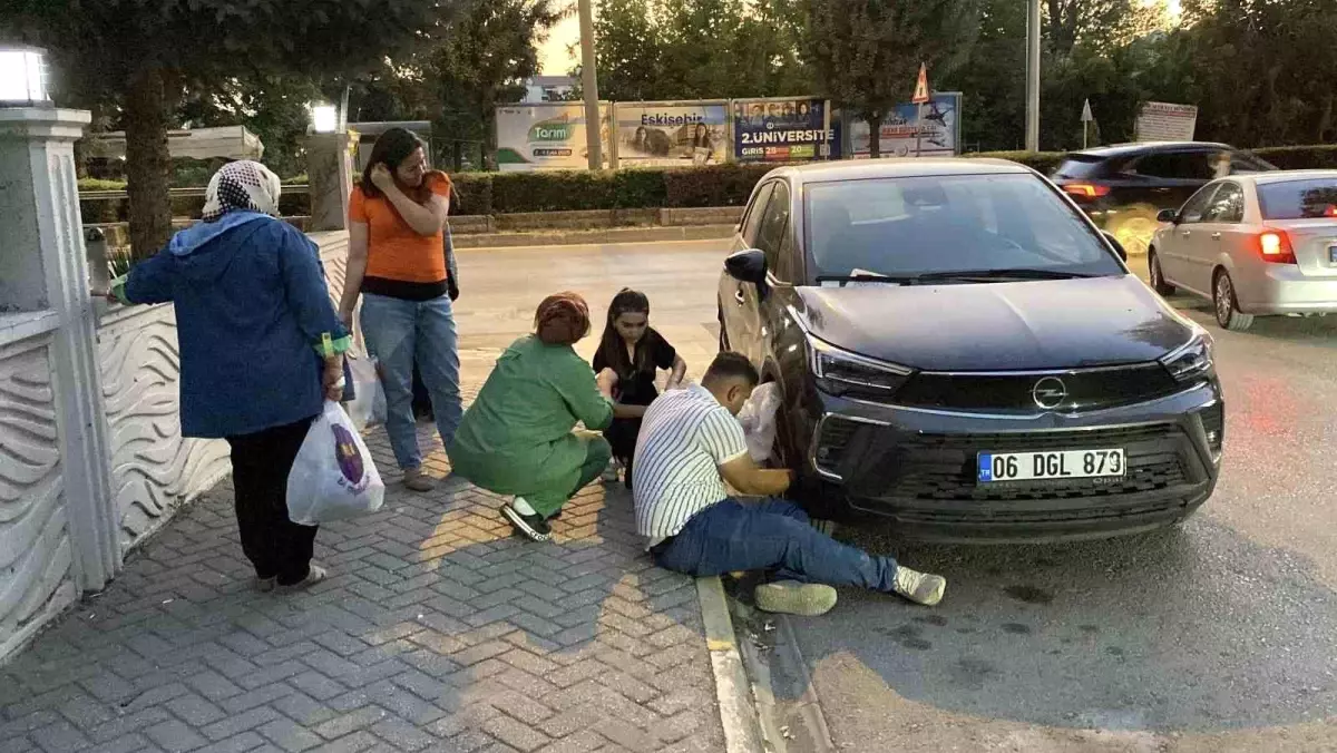 Eskişehir&apos;de Mahsur Kalan Yavru Kedi Kurtarıldı