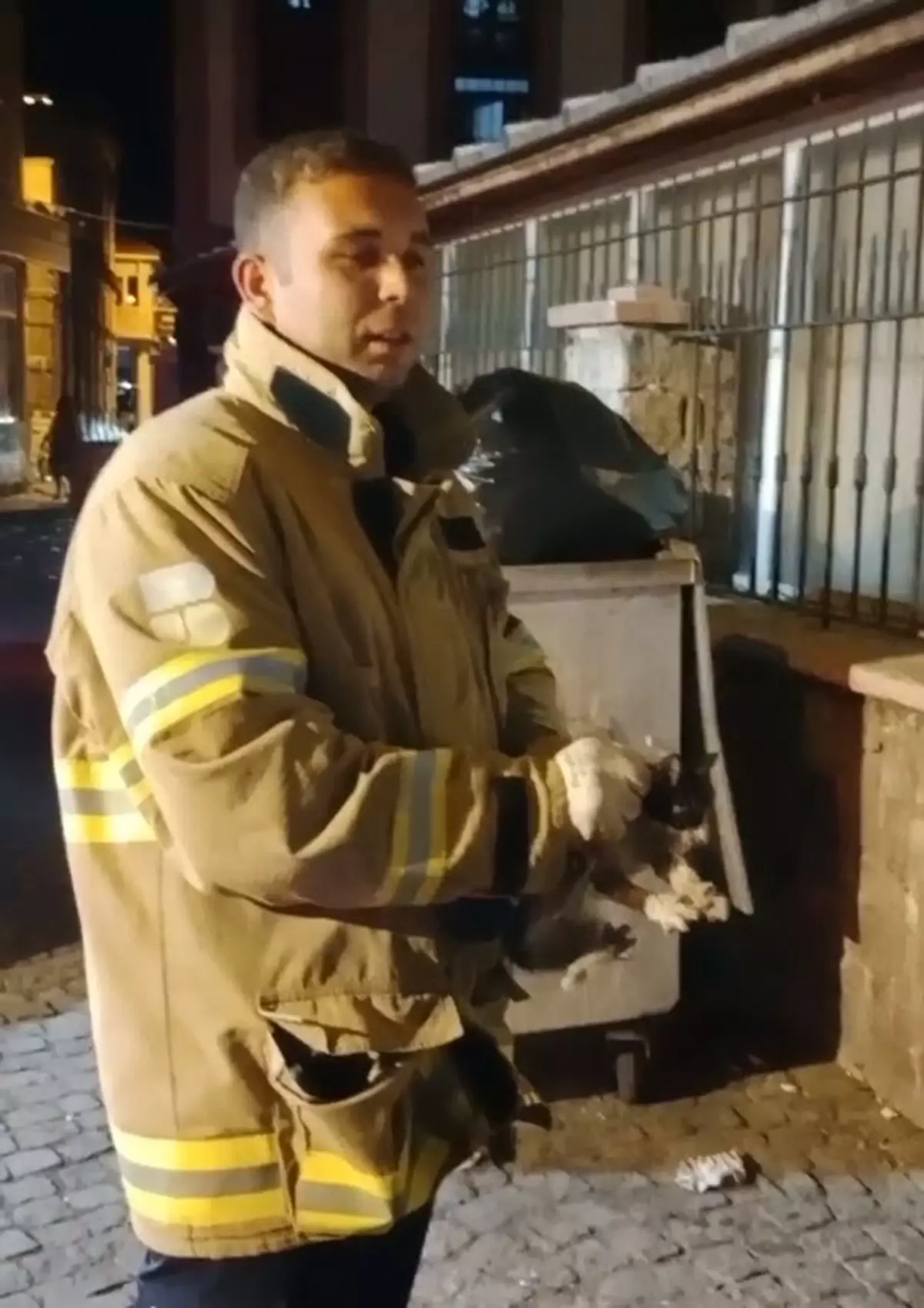Ayvalık'ta Yavru Kedi Otomobilin Motorundan Kurtarıldı
