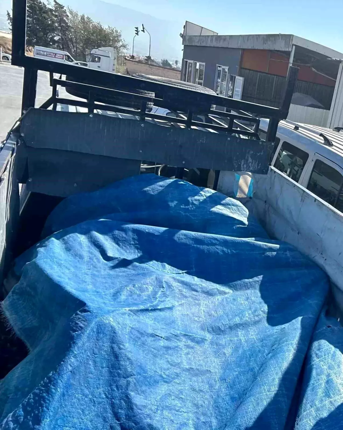 Hatay&apos;da Kaçak Göçmen Operasyonu: 14 Göçmen Yakalandı
