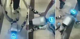 Yazılım hatası yaşayan robot, panik atak geçirdi