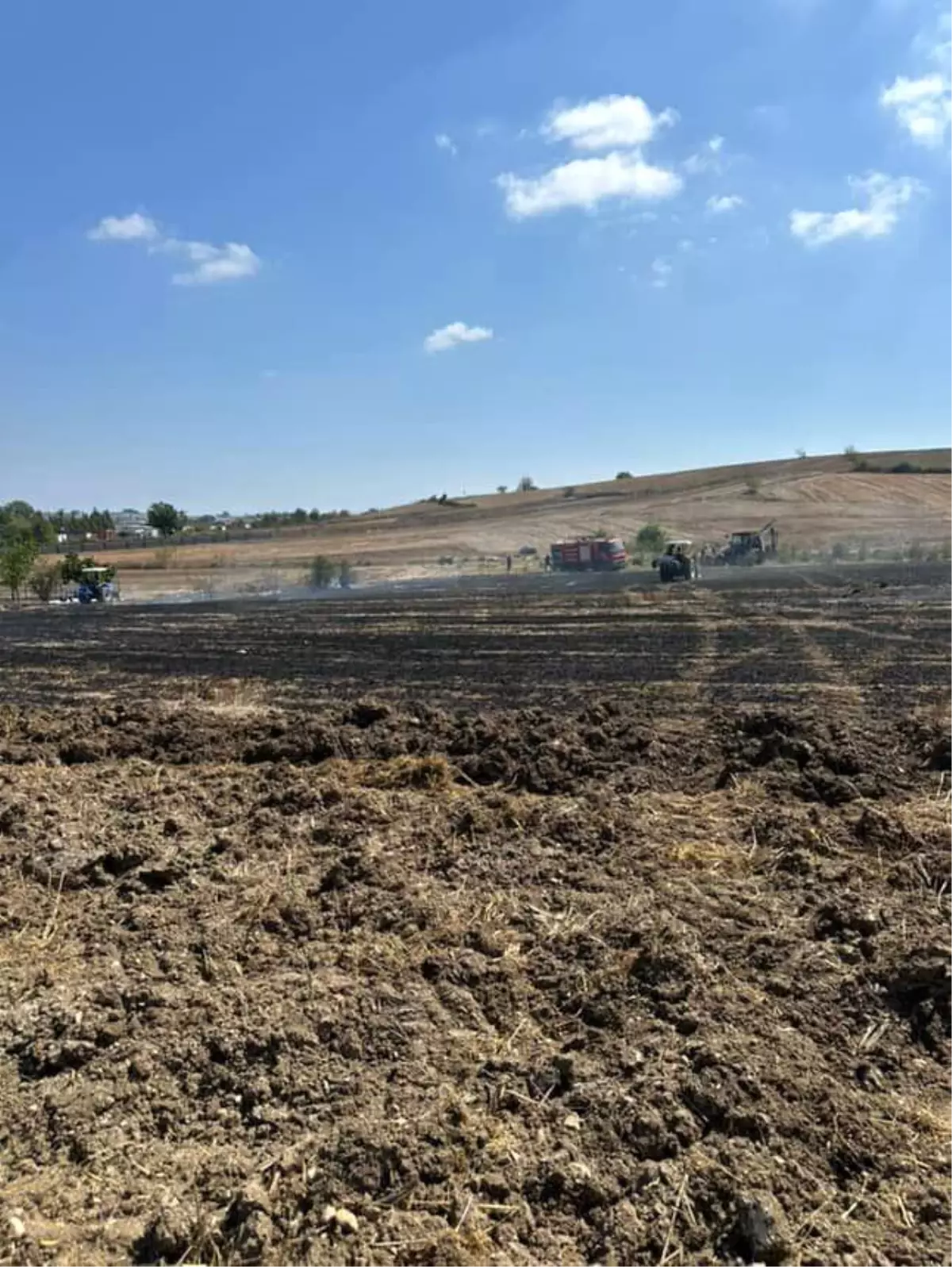 Kaynarca'da Anız Yangını: 20 Dönüm Tarım Arazisi Küllere Dönüştü