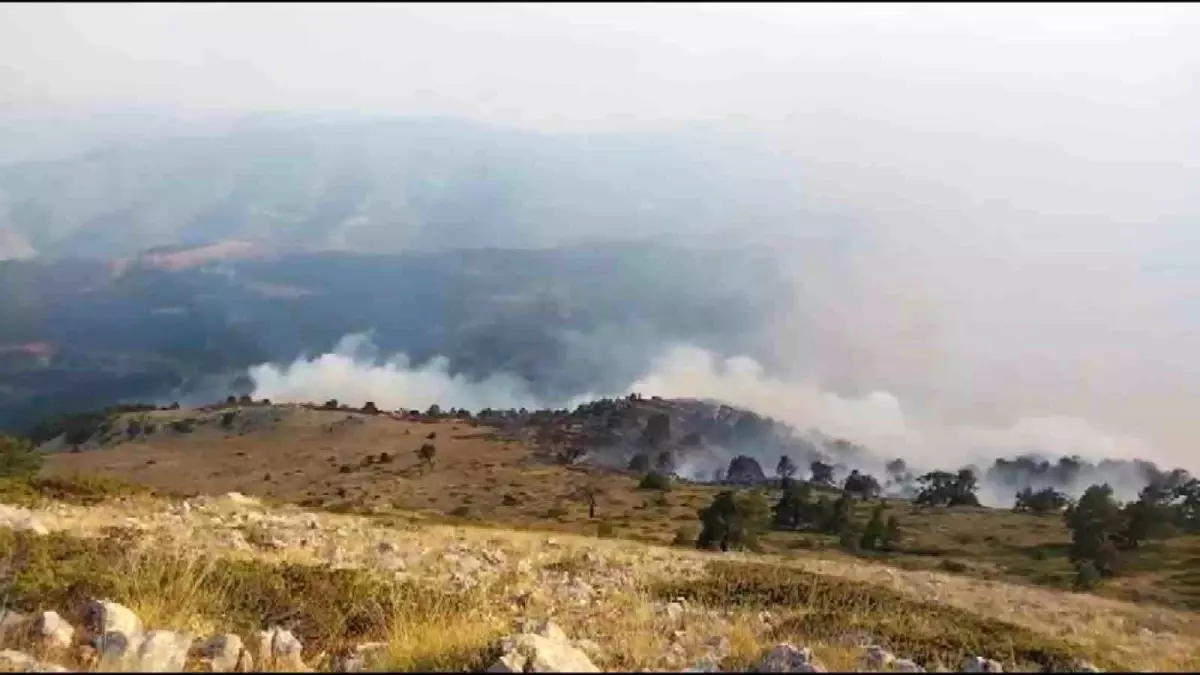 Amasya'da Orman Yangını: 35 Hektar Alan Zarar Gördü