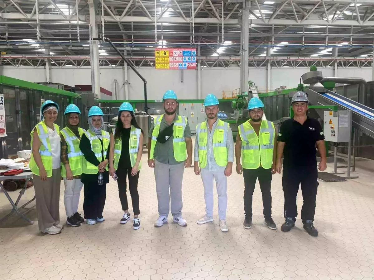 Aydın'da Zeytinyağı Üretim Operatörlüğü Sınavları Devam Ediyor