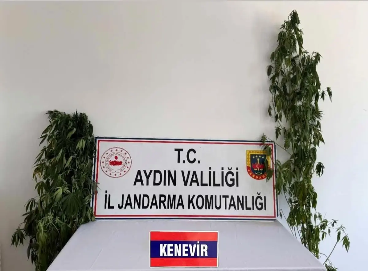Aydın'da Uyuşturucu Operasyonunda 12 Şüpheli Yakalandı