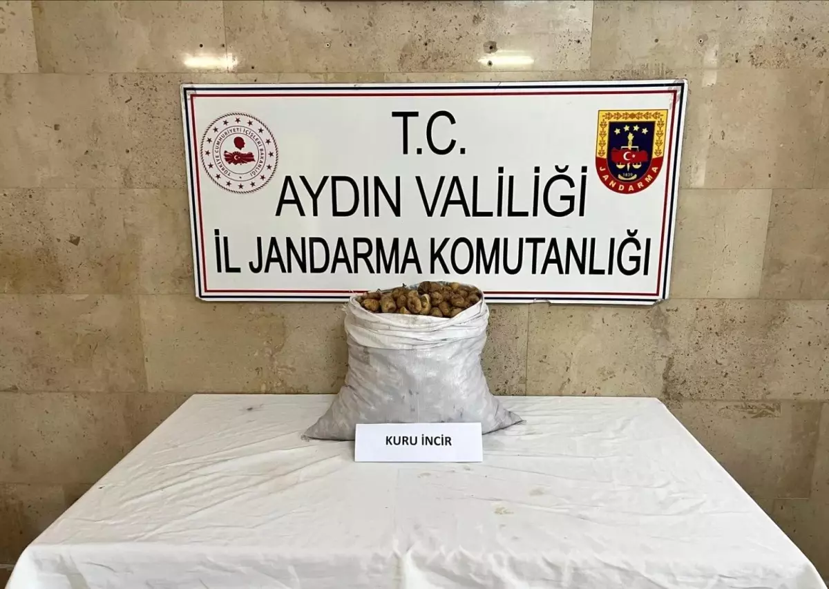Aydın'da Motosikletle 50 Kilo İncir Çalan Şahıs Yakalandı