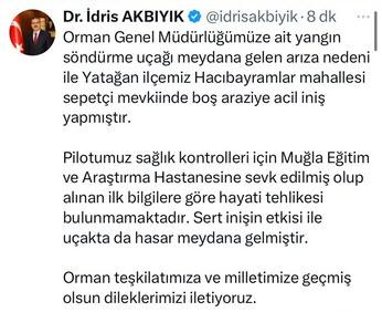 orman yanginina mudahale eden ucak zorunlu 18995173 303 m