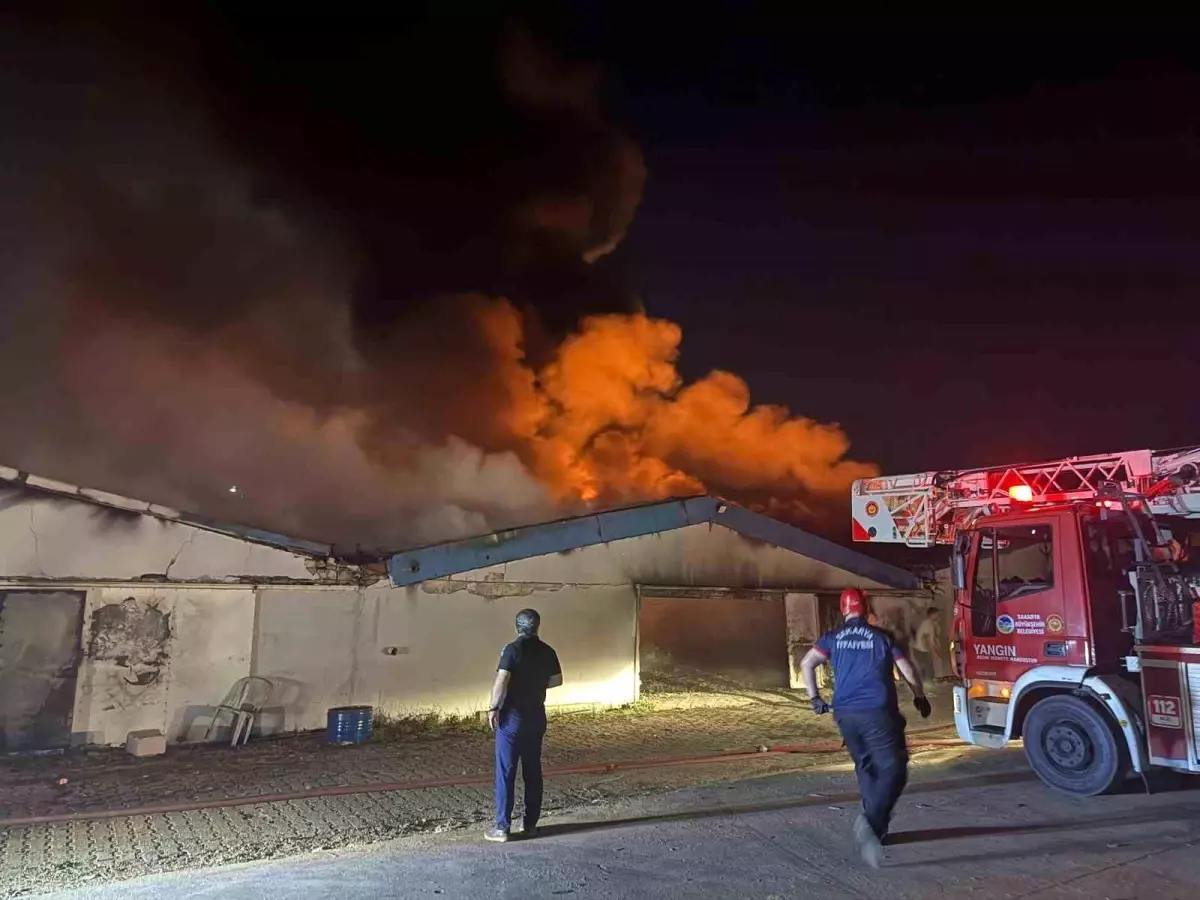 Sakarya'da Boya Fabrikasında Yangın Çıktı