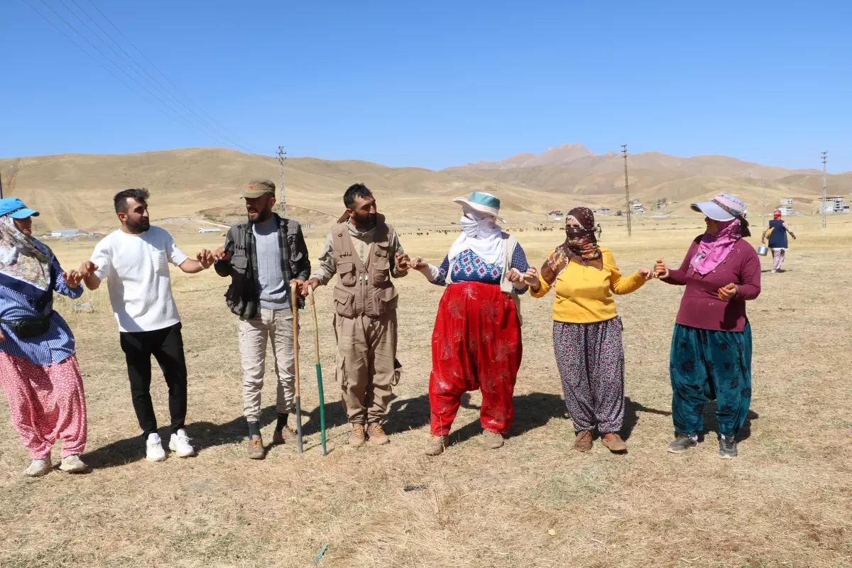 Yüksekova'da Berivanlar Yayla Hayatına Dönüyor