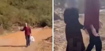 2 çanta dolusu fındığa koydukları para olay! Üretici deliye döndü
