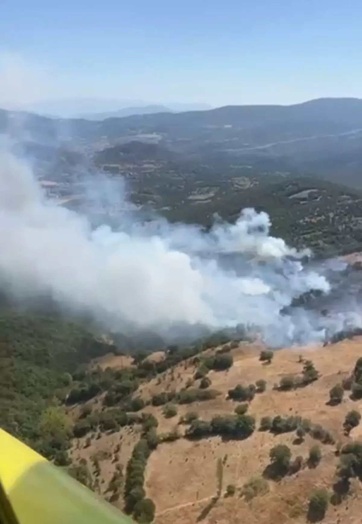 Balıkesir'de Tarım Arazisinde Yangın Ormana Sıçradı