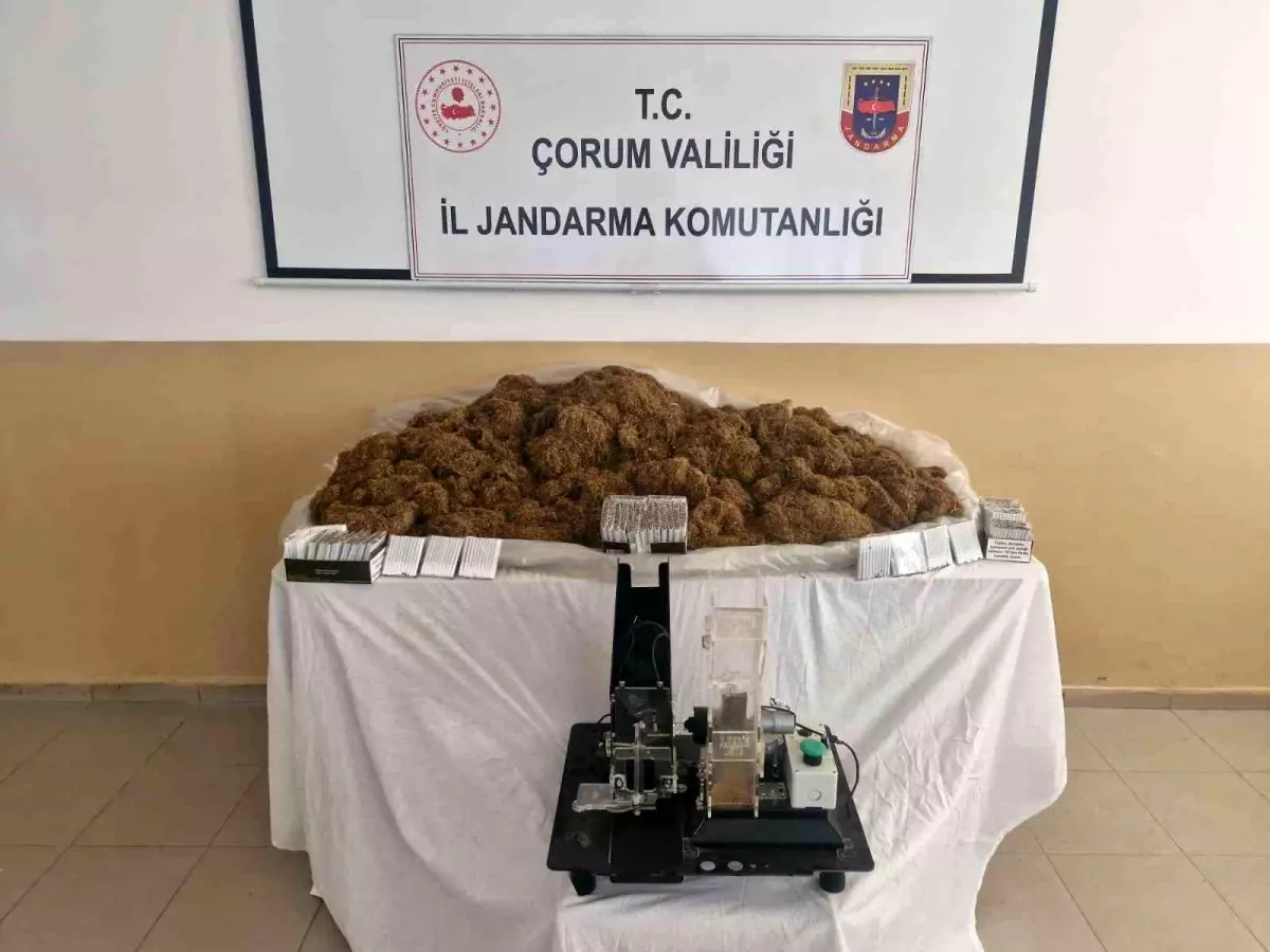 Çorum'da Kaçak Tütün Operasyonu: Bin 620 Makaron Ele Geçirildi