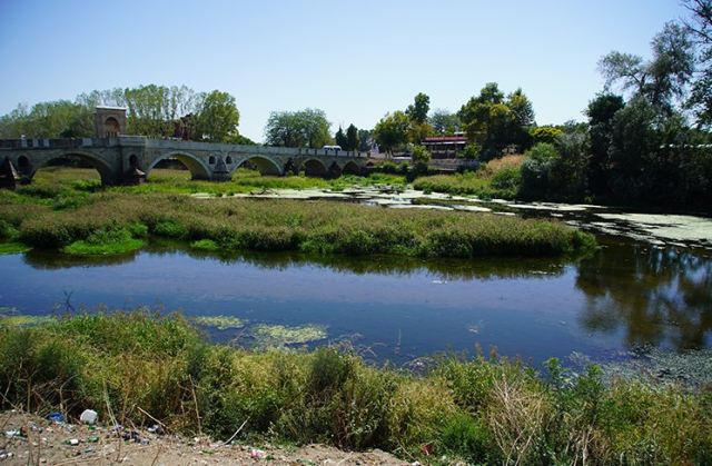 edirne de kuraklik alarmi tunca nehri ni otlar 18998028 6109 m