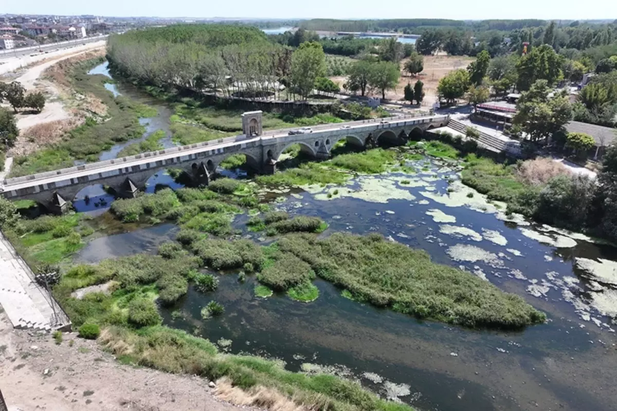 Edirne'de kuraklık alarmı! Tunca Nehri'ni otlar kapladı