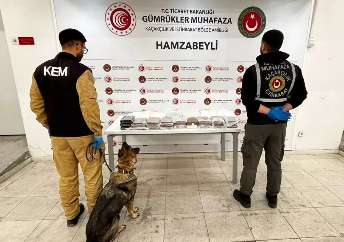 Türkiye'de Uyuşturucu Kaçakçılığı: Esrar ve Metamfetamin Çarpıcı Artış Gösterdi