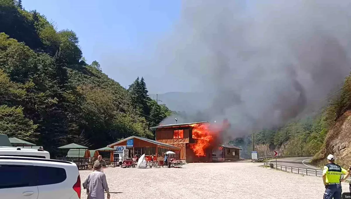 Giresun'daki Kuzalan Tabiat Parkı'nda Yangın: Sosyal Tesisler Kül Oldu