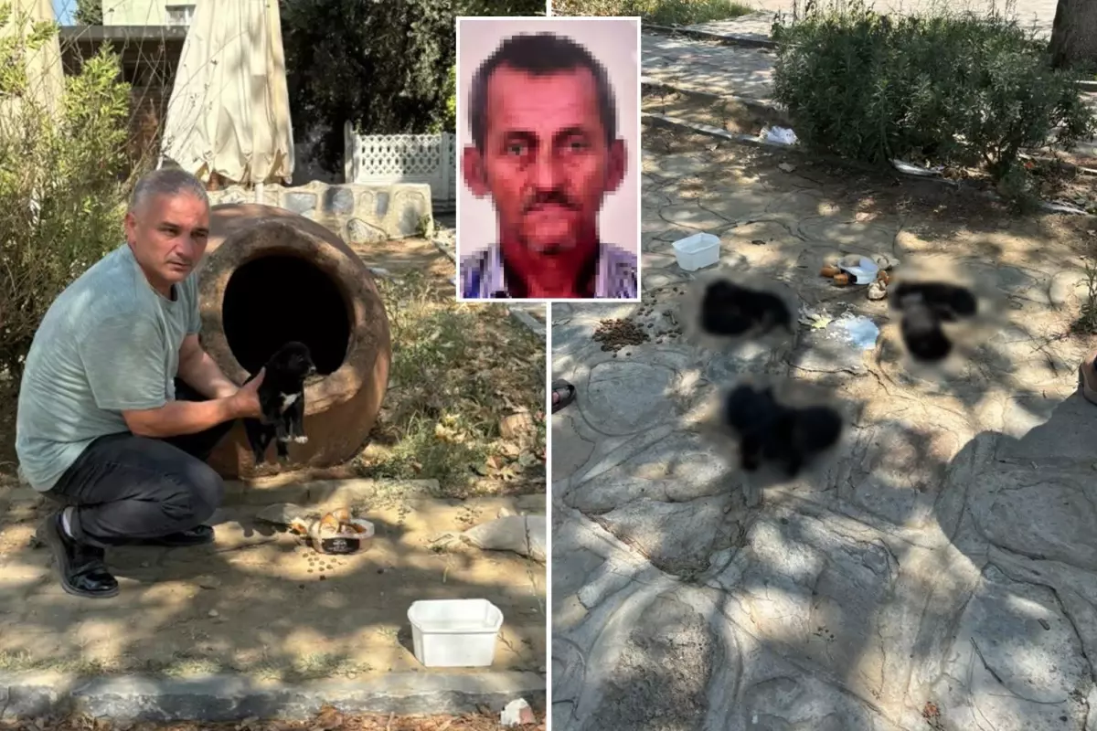Hain planında çocukları kullanan vicdansız hayvanları zehirleyerek öldürdü