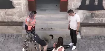 Tüyleri diken diken eden deney! Kimse yerinden oynatamadı, anlayanın gözleri doldu