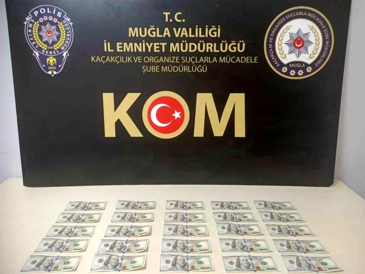 Muğla'da Piyasaya Sahte Dolar Süren Şahıs Yakalandı