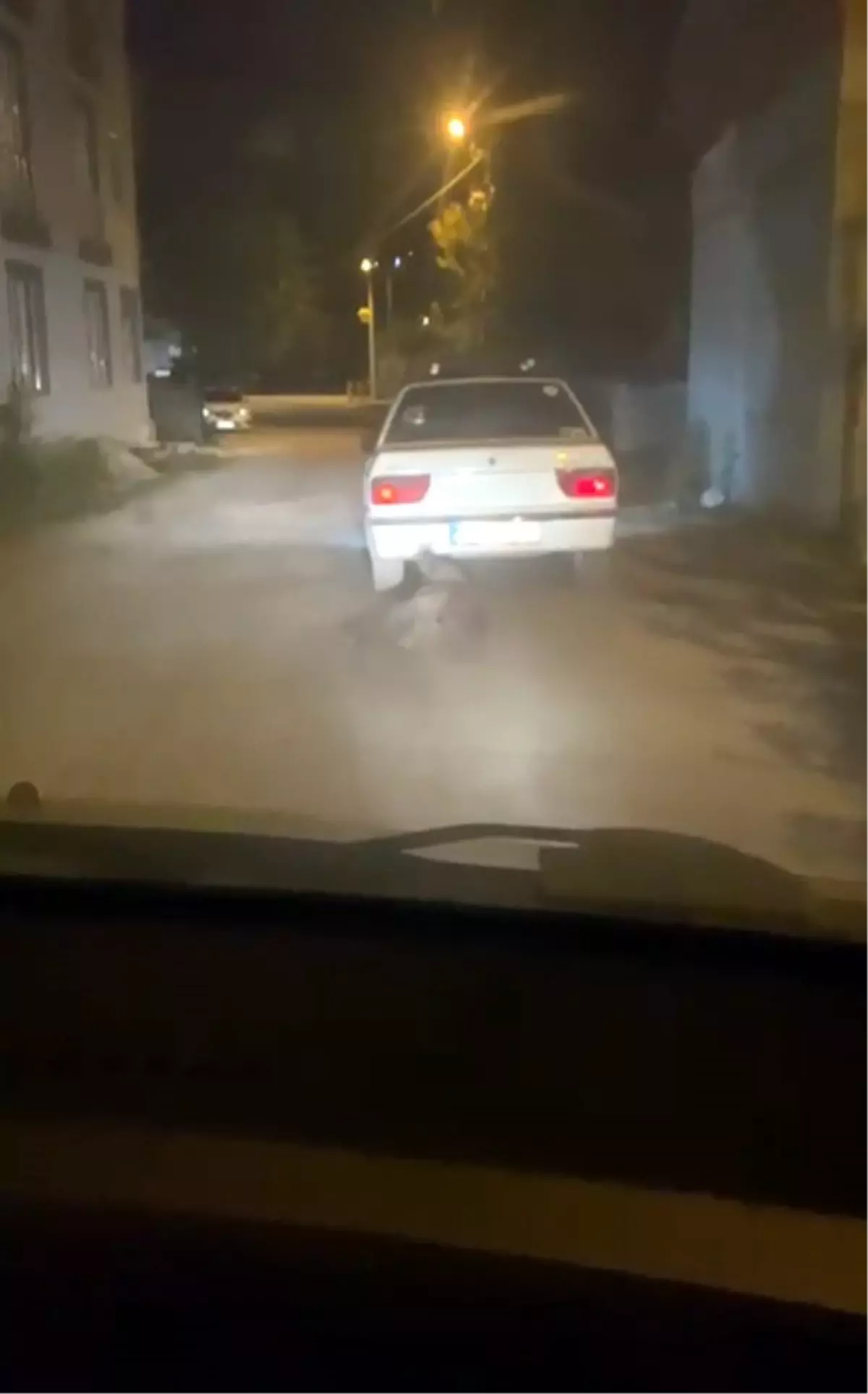 Tokat'ta Yaban Domuzu Sürükleyen Sürücü Kameralara Yakalandı