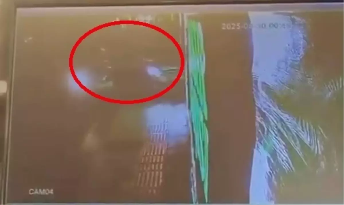 Yalova'da Otomobiller Kaza Yaptı: Kuruyemiş Dükkanına Girdi