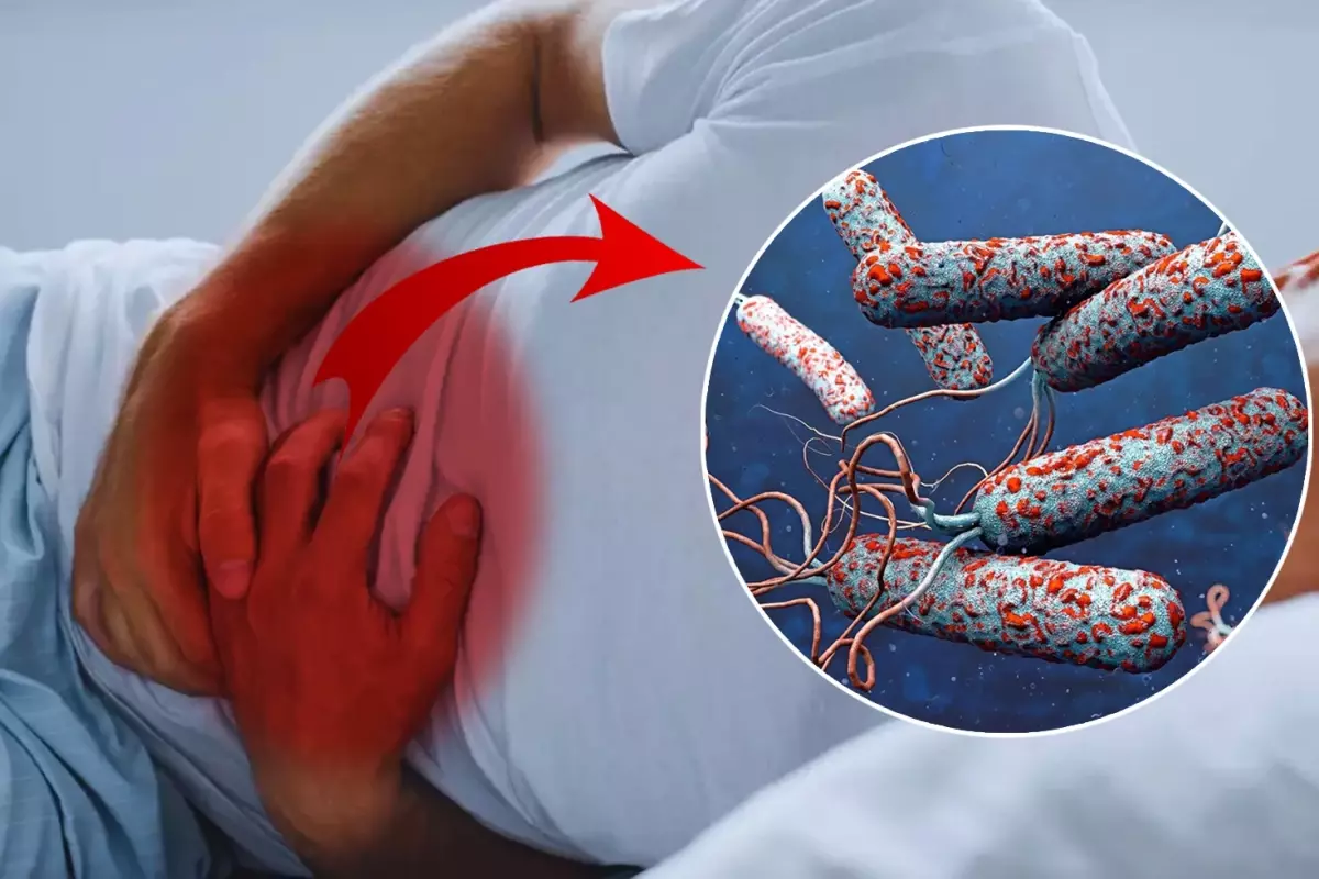 31 ülkede kolera alarmı! Ölümler her geçen saat hızla artıyor