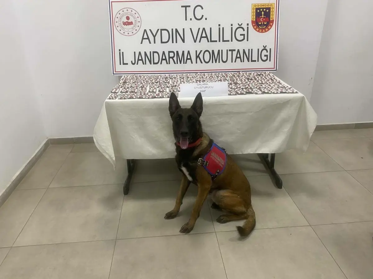 Aydın'da Jandarmadan Sentetik Hap Operasyonu