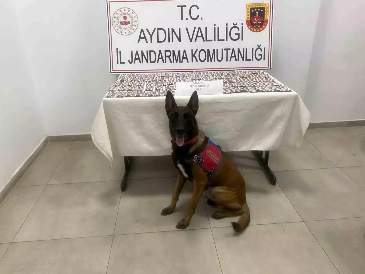 Aydın'da Uyuşturucu Operasyonu: 1.383 Hap Ele Geçirildi