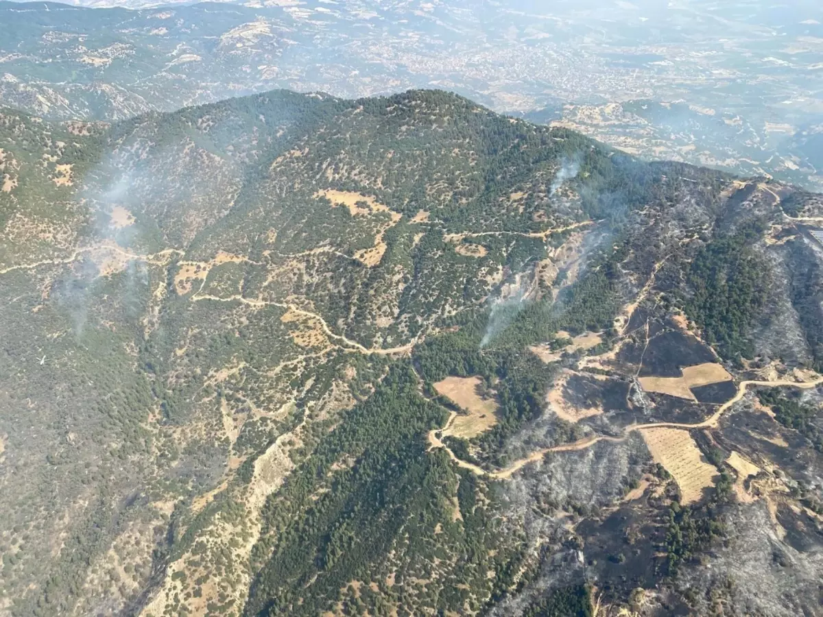 Aydın'daki orman yangını 3'üncü gününde